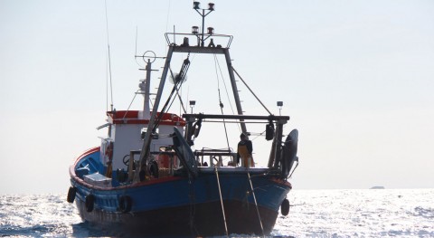 Más 1.300 pescadores gallegos colaboran reciclar basura marina