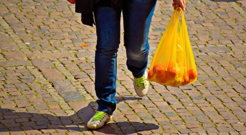 Palma propone prohibir distribución bolsas plástico ligeras comercios