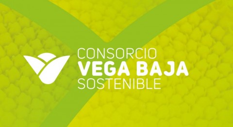  Consorcio Vega Baja licita puesta marcha ecoparque recogida selectiva