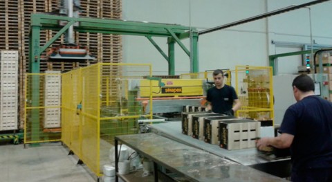 sector envase, embalaje y palet madera da empleo 8.000 personas España