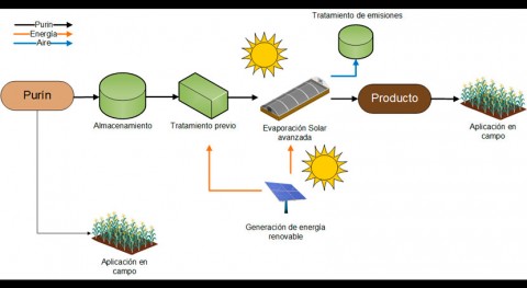 ¿Cómo emplear evaporación solar gestión purines?