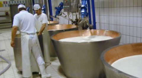 Azti-Tecnalia coordina proyecto transformar lactosuero evitando que se trate como residuo