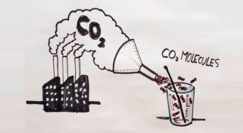 ¿Puede transformarse CO2 polímeros plástico?