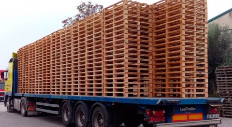 Francia reutiliza 50% palet madera
