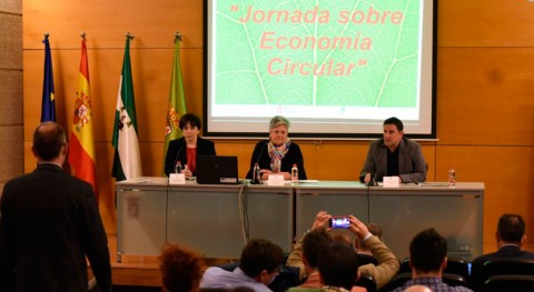 Granada incentiva población cultura reciclaje