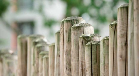 busca capas refuerzo origen biológico materiales construcción madera