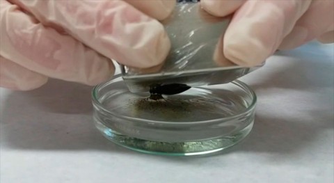 Investigados nuevos materiales magnéticos retirar petróleo superficie agua