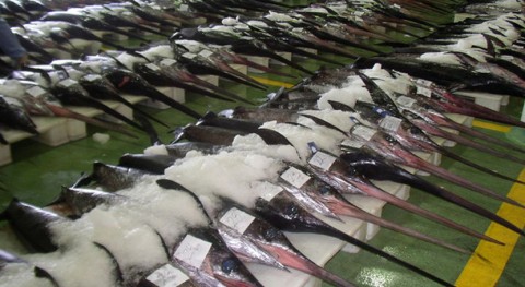 método fluorescencia detecta contaminación mercurio pescado