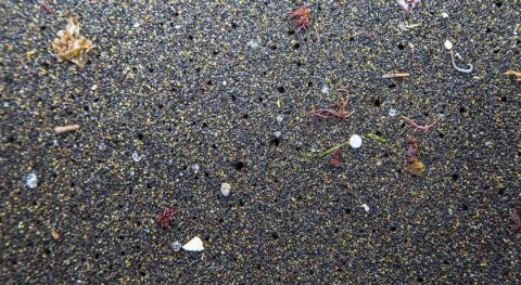microplásticos también contaminan nuestros suelos