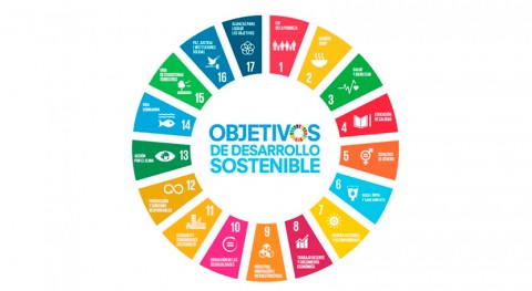 37 millones españoles contribuyen diariamente ODS reciclaje envases
