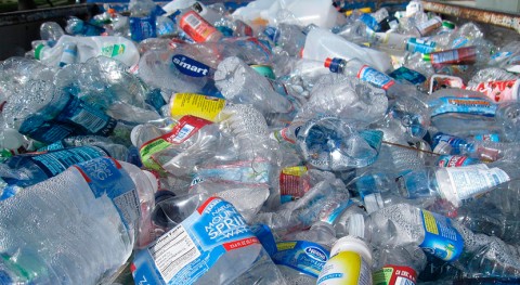 investigación UAM revela que plásticos biodegradables también son tóxicos