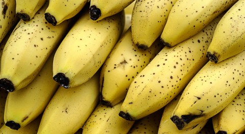 residuo plátano material plástico: proyecto BAQUA apuesta economía circular