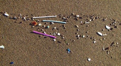 plásticos más pequeños playas canarias, relacionados vertidos aguas residuales