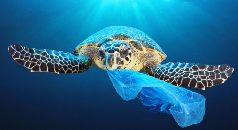 plásticos solo uso, prohibidos partir 2021