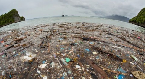 plástico envenena y mata fauna océanos