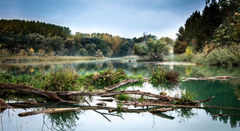 Río Henares, escenario proyecto europeo reducción residuos