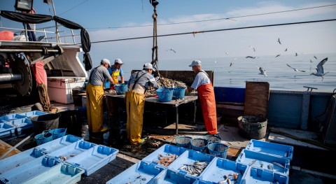 2.600 pescadores proyecto Upcycling the Oceans recuperaron 190 toneladas basura marina