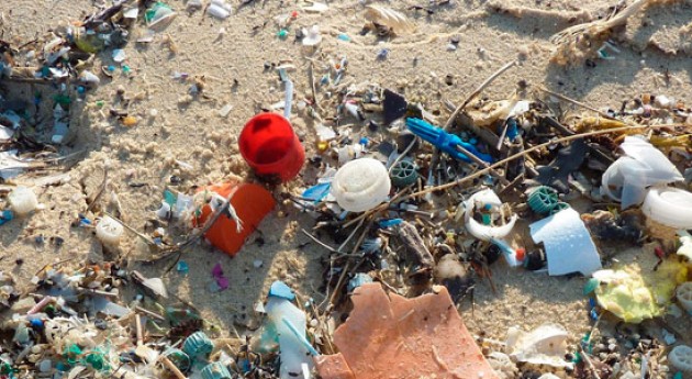 Plásticos, gran amenaza mares
