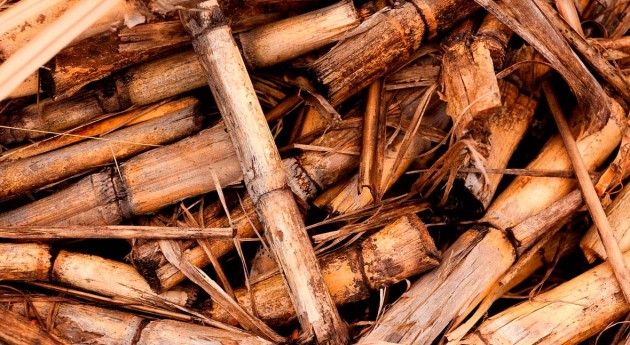 Convocadas ayudas cooperación proyectos suministro sostenible biomasa