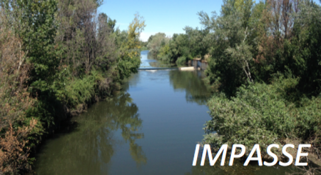¿Cómo evaluar impacto microplásticos agro-ecosistemas y ecosistemas fluviales?