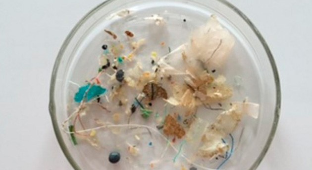 Científicos evalúan distribución microplásticos aguas costeras Mallorca
