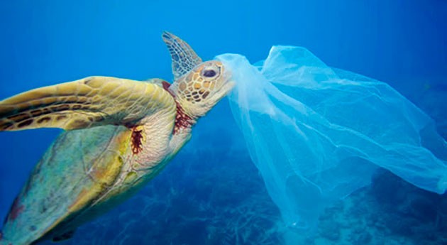 residuos plástico invaden playas chilenas