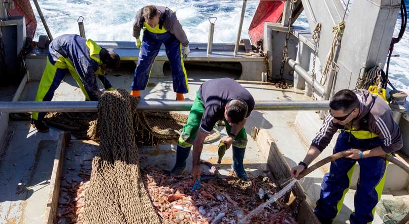 proyecto RepescaPlas continuará buscando nueva vida residuos recuperados mar