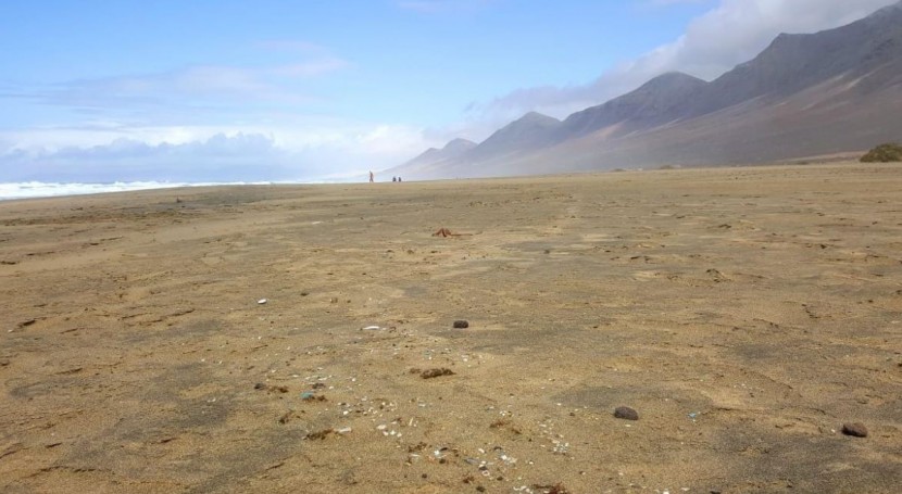 Arranca CAPonLitte, que pretende eliminar basura turismo costas Fuerteventura