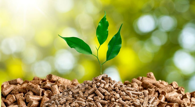 papel indispensable biomasa economía circular