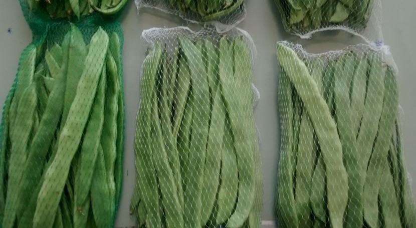 films y mallas biodegradables verduras ya son realidad