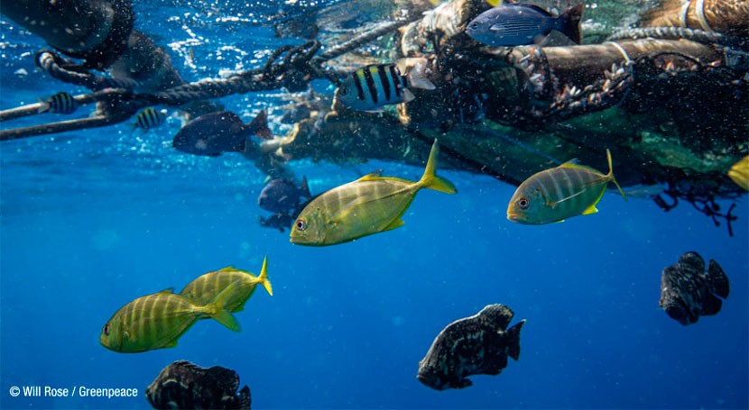 Plásticos mares y océanos: amenaza creciente pescado y marisco