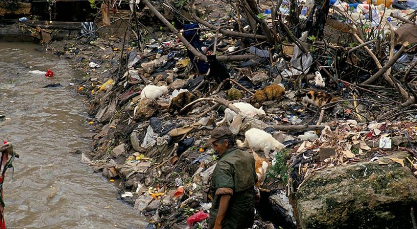 entornos contaminados o poco saludables causan 12,6 millones muertes al año