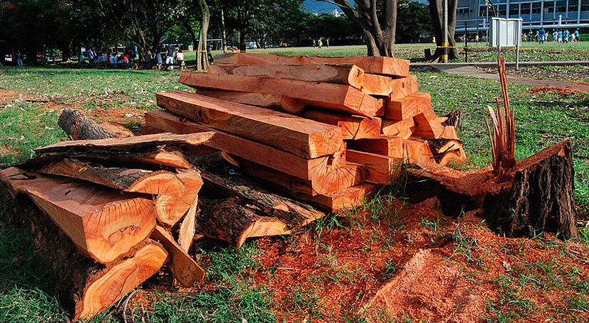 ¿Cómo fabricar madera plástica desechos naturales?