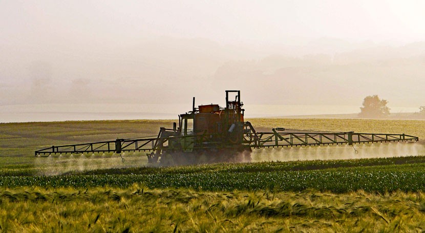 ¿Qué riesgos conlleva uso indiscriminado pesticidas?
